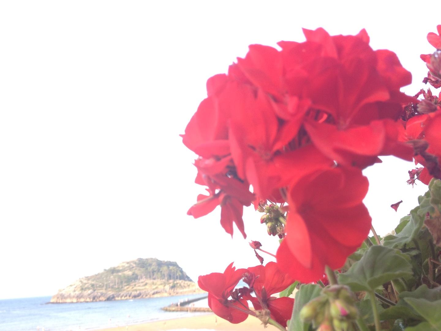 isla-bonita-voyage-leikeitio
